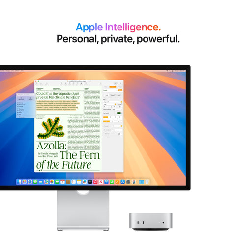 Mac mini - M4 Pro (14-Core CPU and 20-Core GPU)