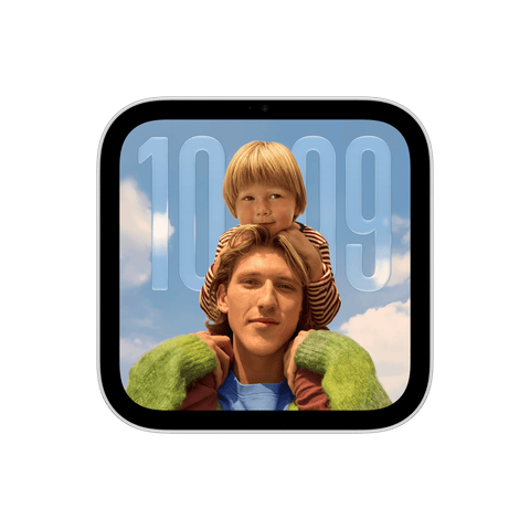 Apple HomeView - Silver